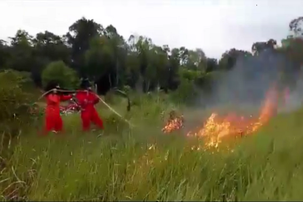 Kobaran Api Hanguskan 6,5 Hektar Hutan di Konawe Selatan