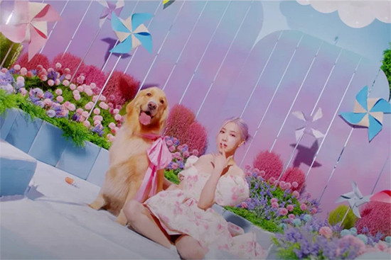 Outfit BlackPink dan Selena Gomez dalam Video 