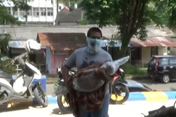 Waduh! Jenazah Pasien COVID-19 Dibawa Paksa Pakai Motor