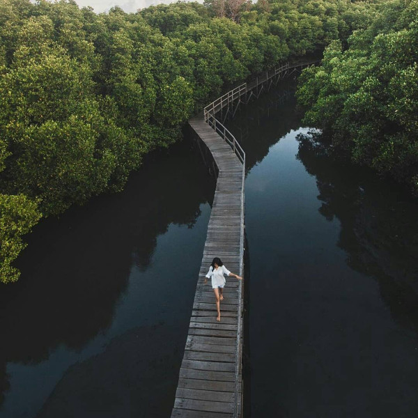 Dari Pulau Mini sampai Pantai tanpa Karang, Ini Rekomendasi Wisata Alam di Bengkulu