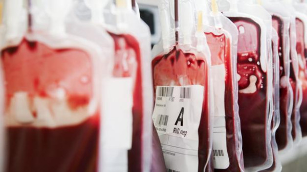 PMI Ulang Tahun, Simak Fakta Unik tentang Donor Darah
