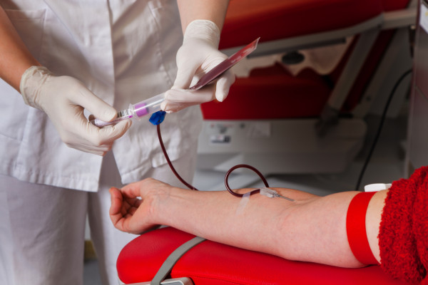 PMI Ulang Tahun, Simak Fakta Unik tentang Donor Darah