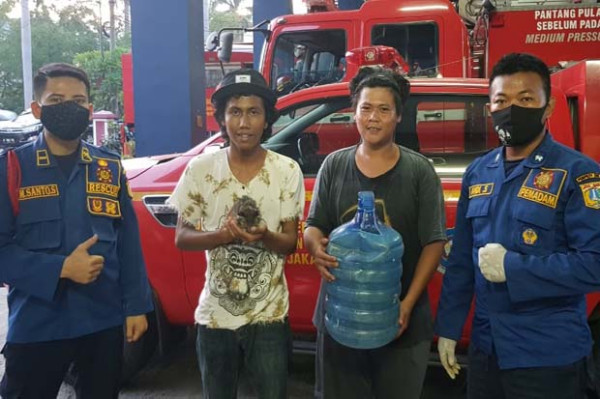 Sudin Gulkarmat Jakbar Selamatkan Anak Kucing Terjebak di Galon