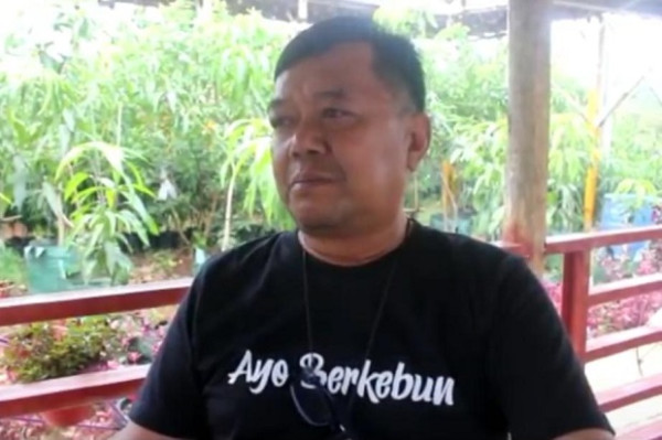 Manisnya Mangga Agrimania asal Indramayu Tembus Eropa dan Timur Tengah