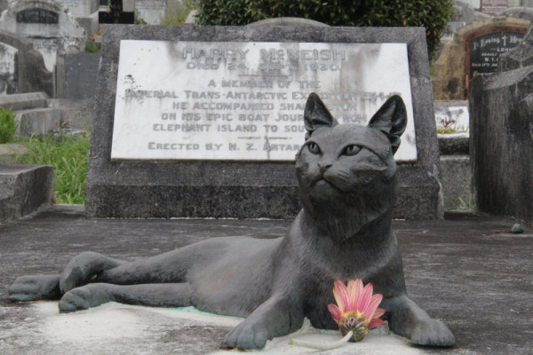 10 Monumen dan Museum untuk Para Legenda Kucing