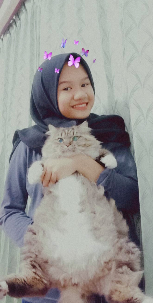 Cerita Para Bucing, si Budak Kucing