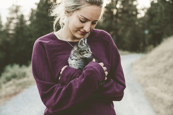 3 Hal untuk Diketahui Sebelum Kamu Mengadopsi Kucing