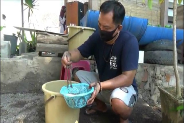 Anak-anak di Banyuwangi Lepas Ratusan Belut ke Sawah