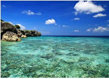 Alam Laut Labuan Bajo, Magnet Turis Mancanegara