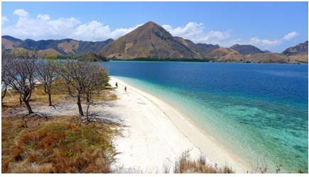 Alam Laut Labuan Bajo, Magnet Turis Mancanegara