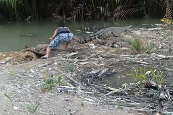 Buaya Sepanjang 3 Meter Hebohkan Warga Pangkalpinang