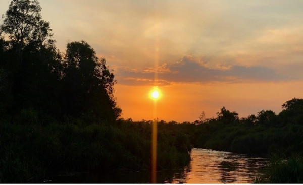 Mengunjungi ‘Saudara Tua’ di Taman Nasional Tanjung Puting