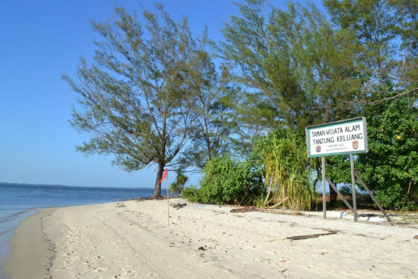 Mengunjungi ‘Saudara Tua’ di Taman Nasional Tanjung Puting