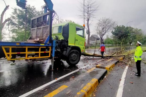 Rumah Terbakar di Pulogebang, Pohon Tumbang di Tol Cakung
