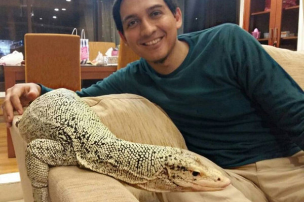 Reptil Bisa Jadi Hobi Plus Investasi