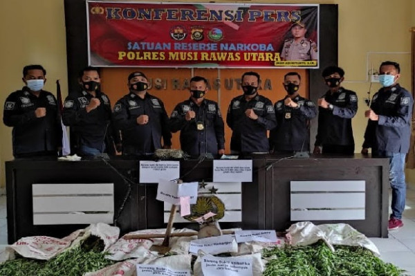 Polres Muratara Kembali Temukan Ladang Ganja Seluas 1 Hektare