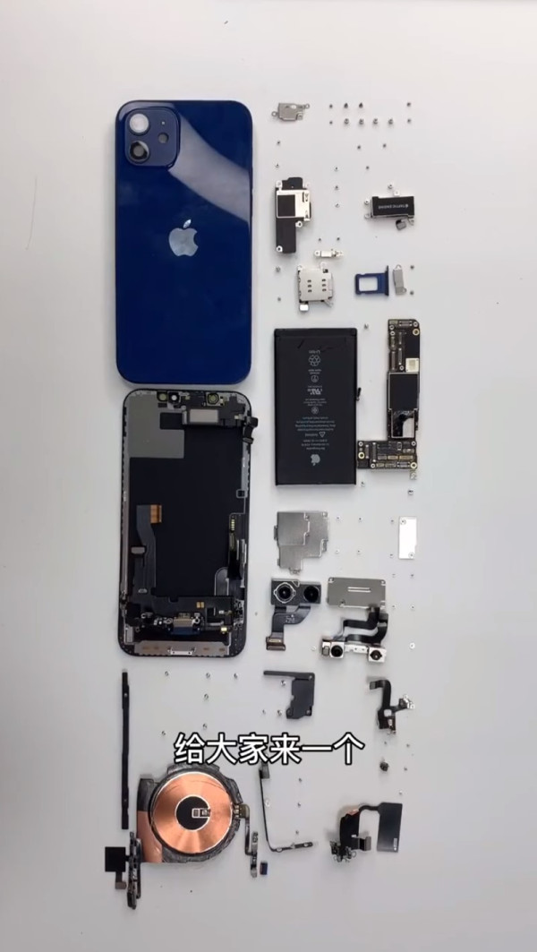 Dimutilasi, Jeroan Ungkap Baik dan Buruknya iPhone 12