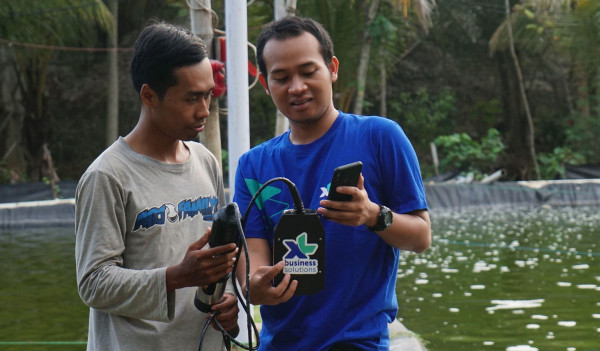 Petambak Pacitan dan Situbondo Merasakan Manfaat XL Smart Aquaculture