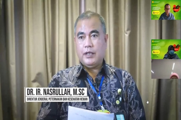 Lewat Gemaya, Kementan Bantu Peternak Ayam dari Terjangan Pandemi