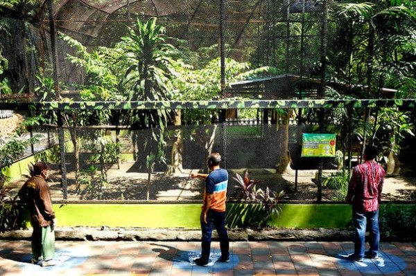 Nih, 5 Tempat Wisata di Surabaya Aman dan Cocok Didatangi saat Libur Panjang