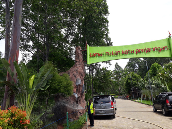 Wow, Ternyata Pohon Pelangi Terindah di Dunia Juga Ada di Jakarta