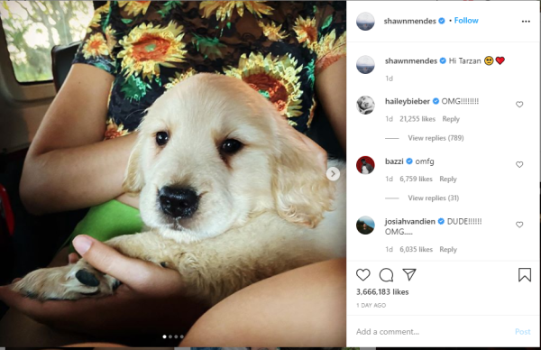 Bukti Hubungan Shawn Mendes dan Camila Cabello Makin Serius: Pelihara Anjing Bersama