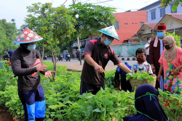 Wujudkan Ketahanan Pangan, Pemkot Tangerang Sulap Lahan Tidur Jadi Produktif