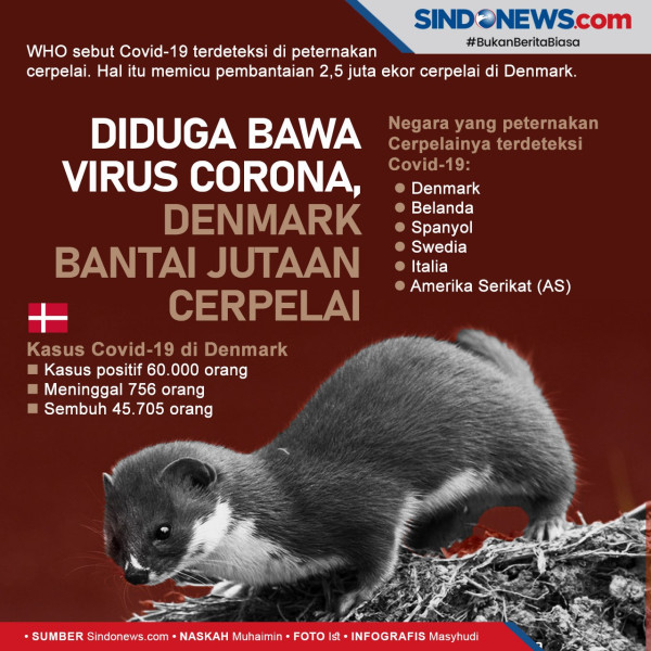 Waspada Mutasi Baru Corona
