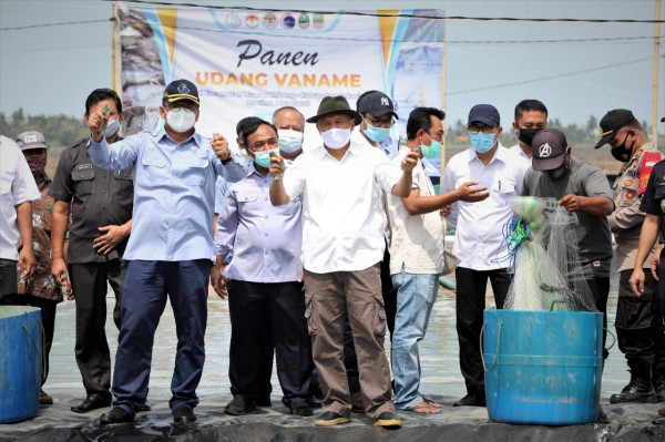Kemenkop UKM-KKP Siap Fasilitasi Pengembangan Usaha Budidaya Udang Vaname