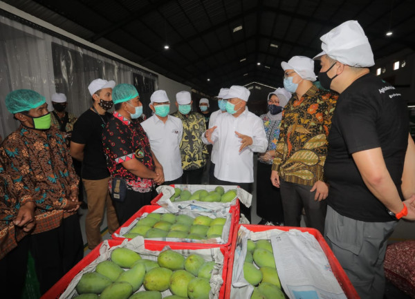 Menkop UKM Perkuat Kemitraan Koperasi dengan TaniHub dalam Menyerap Hasil Pertanian