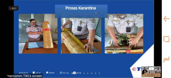 Biar Pebisnis Ikan dan Tanaman Lancar Jaya, TIKI Gandeng Influencer Top