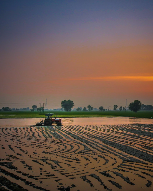 Dear Pak Tani Milenials! Begini Tips Gokil Bajak Sawah ala Crowde