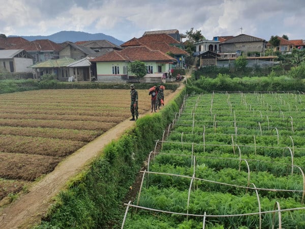 Kopassus Bersama Relawan Rimba Bagikan Sembako untuk Masyarakat Gunung Gede