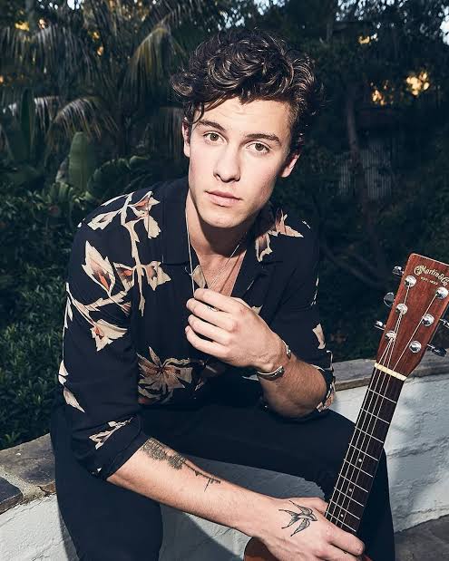 10 Momen Kejujuran Shawn Mendes dalam Film 'In Wonder'