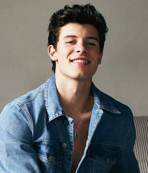 10 Momen Kejujuran Shawn Mendes dalam Film 'In Wonder'
