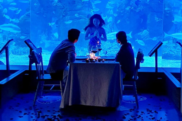 Sambut Liburan Akhir Tahun, Jakarta Aquarium Siapkan Hiburan Khusus