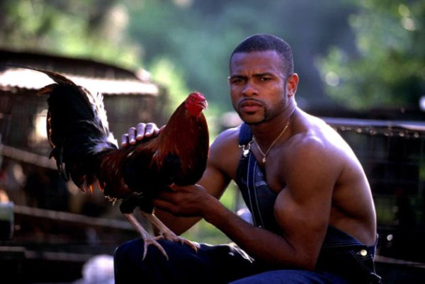 Oalah..Mike Tyson Ternyata Pecinta Merpati, Roy Jones Pawang Ular