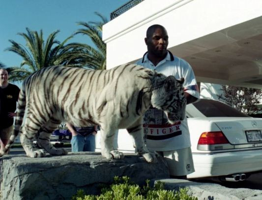 Oalah..Mike Tyson Ternyata Pecinta Merpati, Roy Jones Pawang Ular
