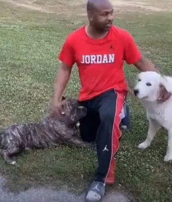 Oalah..Mike Tyson Ternyata Pecinta Merpati, Roy Jones Pawang Ular