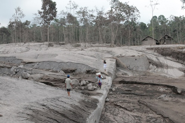 Ladang Salak, Padi, dan Sengonnya Dikubur Muntahan Lava Pijar Semeru, Sumarto: Semua Habis