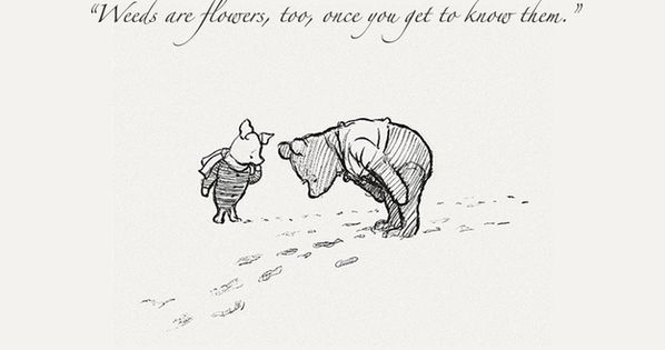 20 Kutipan Winnie The Pooh Yang Menyentuh Hati dan Jadi Nostalgia