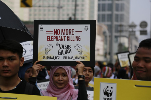 Mau Jadi Sukarelawan? Ini 5 Program Berbasis Sukarelawan Paling Populer