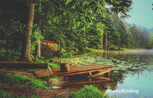 Ingin Berwisata Alam Tak Jauh dari Jakarta? Ini 5 Spot Danau Menarik di Bogor