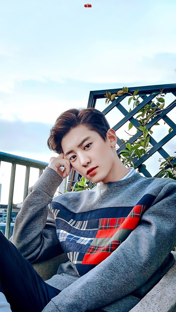 Yuk Kenalan Dengan Member Exo, Ada Yang Jadi Aktor Drakor