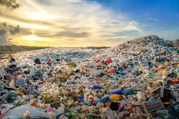 Inovasi Plastik dari Rumput Laut dan Bisa Dimakan, Mau Coba?