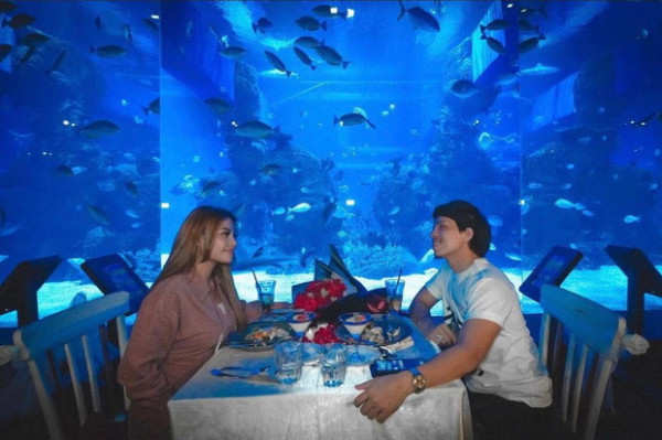Jelang Tutup Tahun, Jakarta Aquarium Hadirkan Sejumlah Kejutan