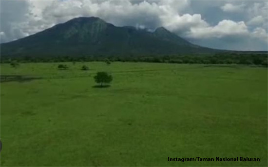Destinasi Wisata di Jawa Timur Bikin Anda Serasa di Luar Negeri