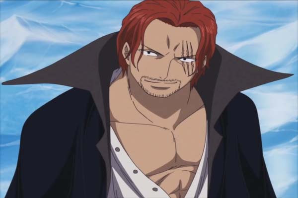 9 Teori dari Penggemar One Piece yang Sepertinya Benar