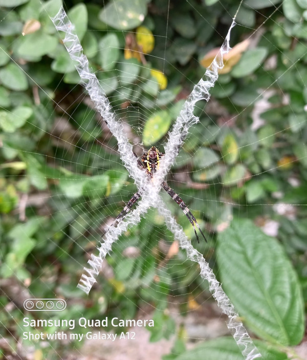 Dilengkapi 4 Kamera Belakang, Ini Hasil Foto Samsung Galaxy A12