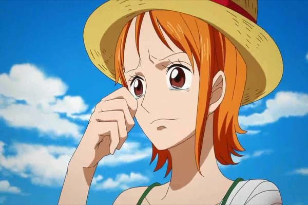 10 Wanita di One Piece yang Pas Jadi Pendamping Hidup Luffy